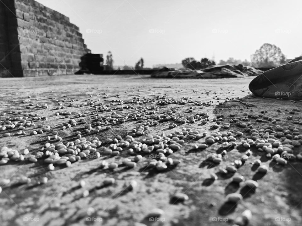 black and white story