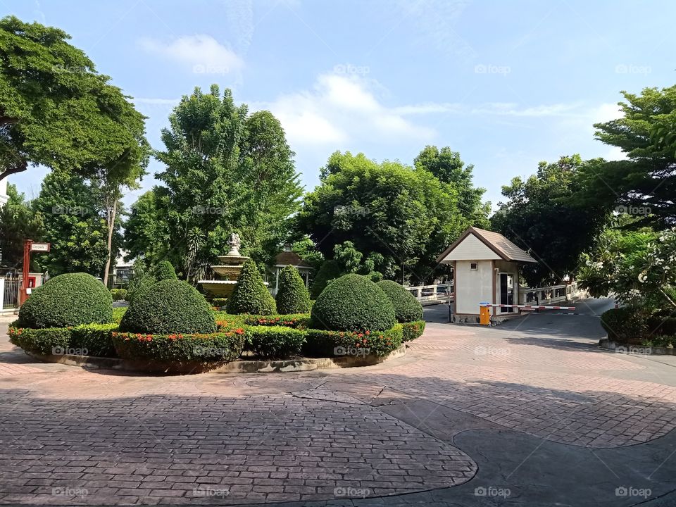 Garden in the village