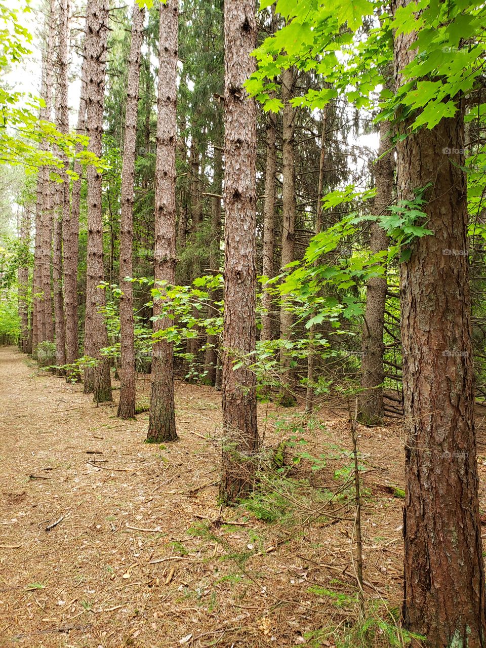 Beautiful September walk