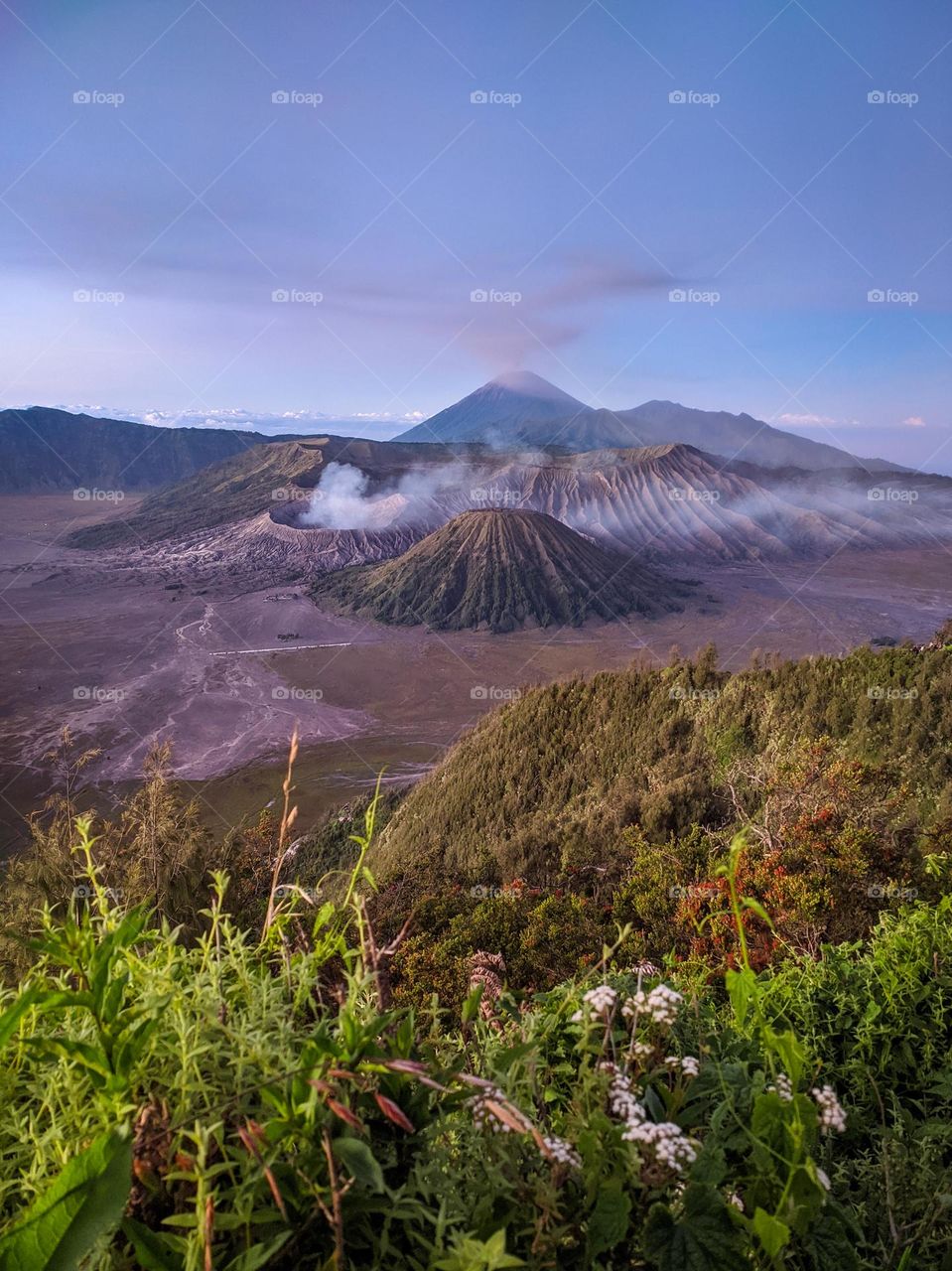 parorama Mount bromo in the morning