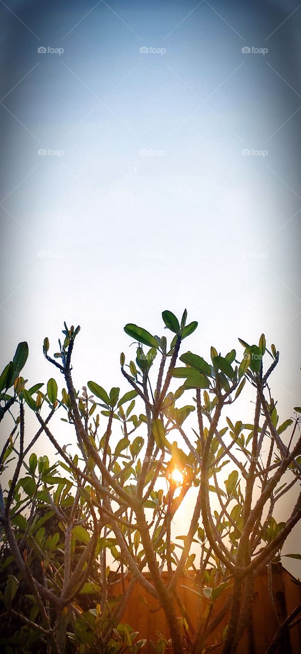 # Sunshine # OpenSky