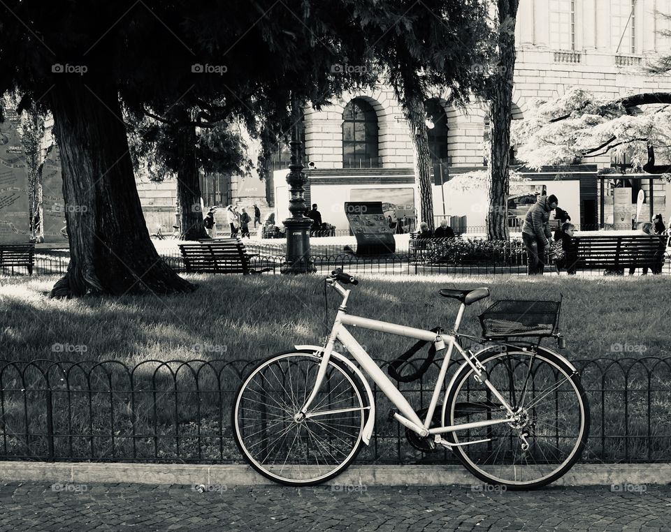 Bicycle at the park 