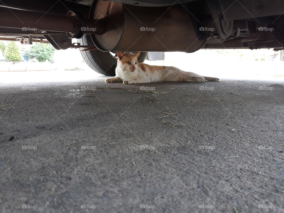 under the car dmk