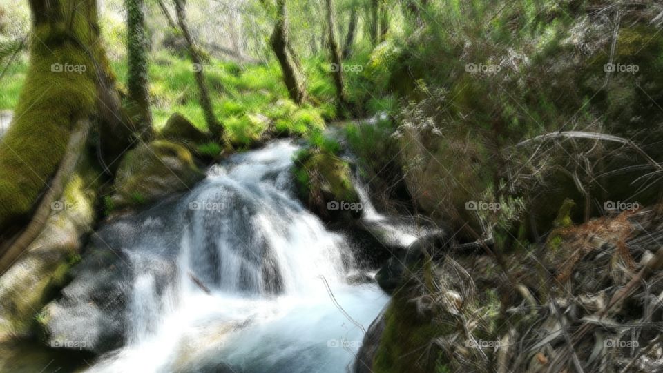 Wood, Nature, Water, Waterfall, River