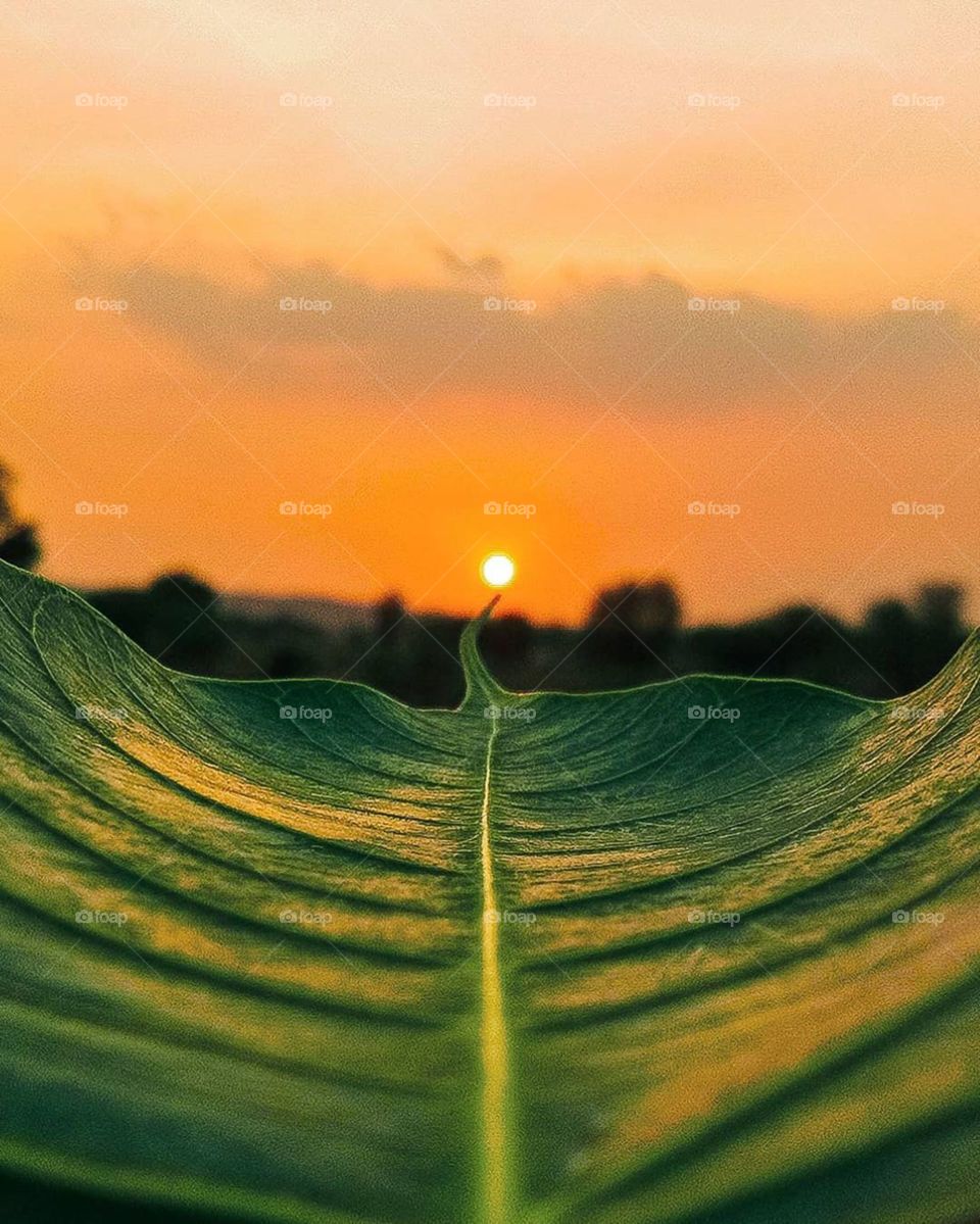 Way To heaven(India)