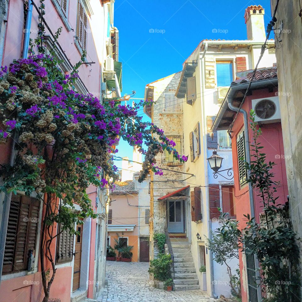 Colors of Rovinj, Croatia 
