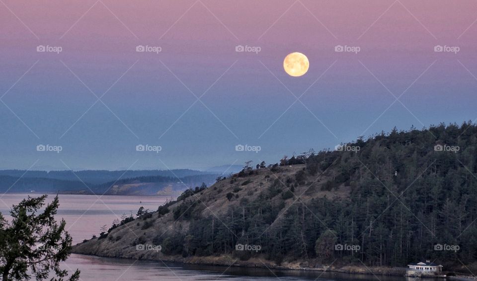 Moon over Washington Park