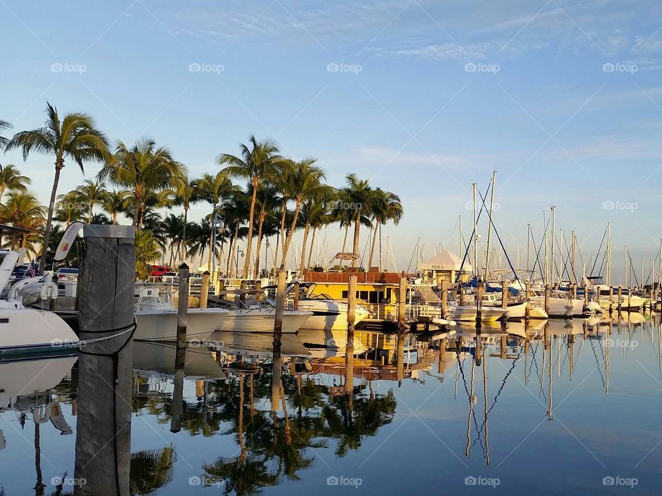 A still moment in paradise