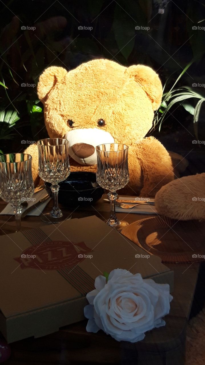 teddy bear in shop Windows in Caen