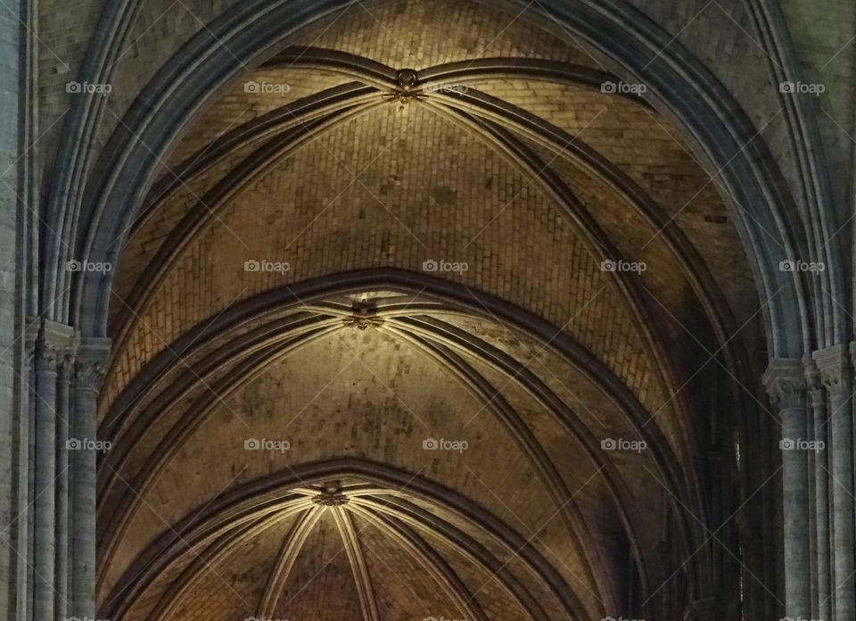 Ceiling of notre dame france