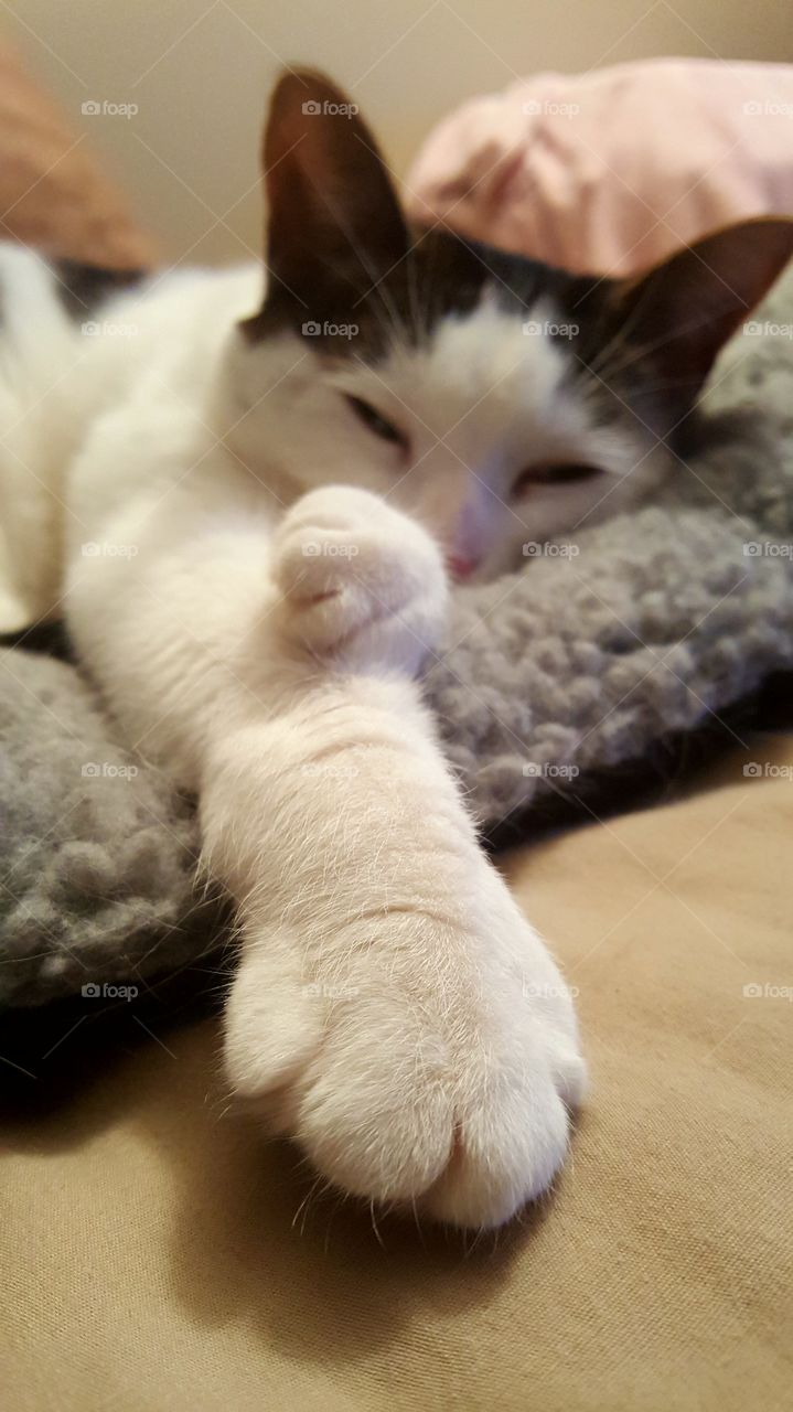 Beautiful macro shots