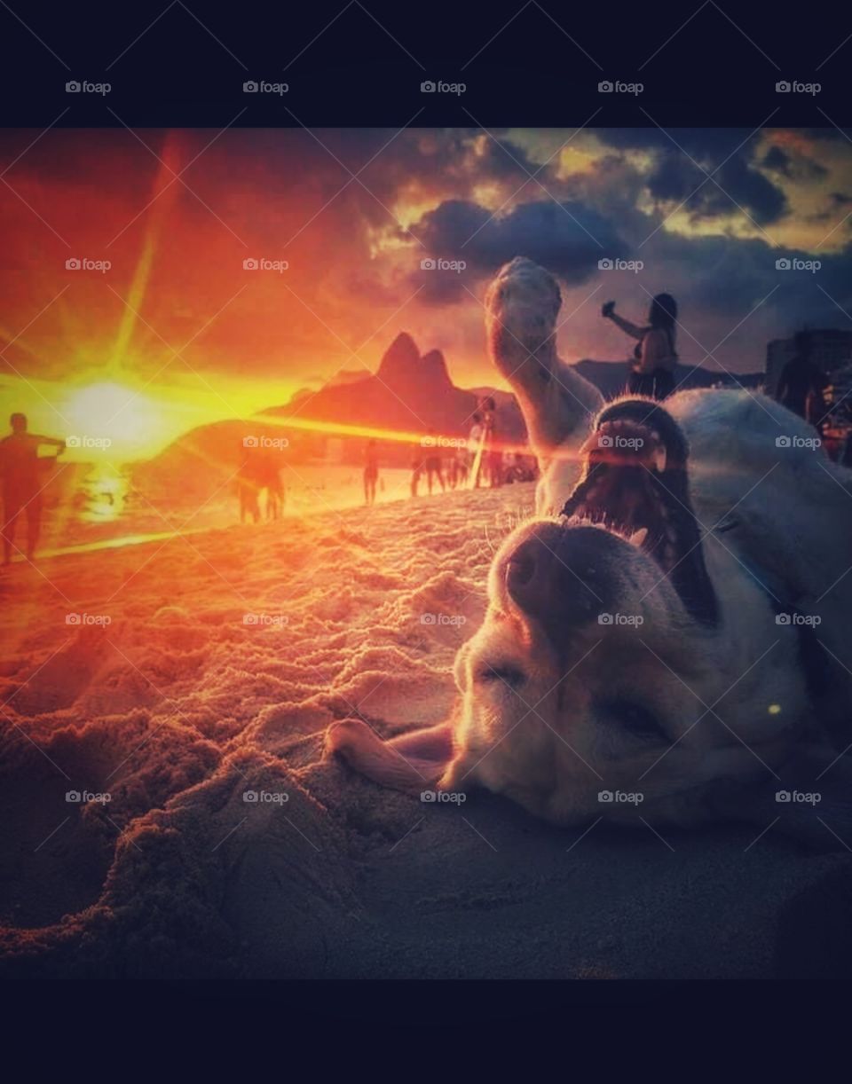 animal also enjoying the nature