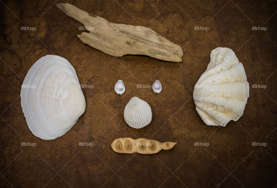 Funny shellfishes face