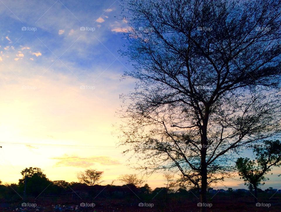 evening sunset 