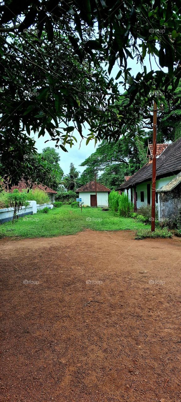 Kerala homes