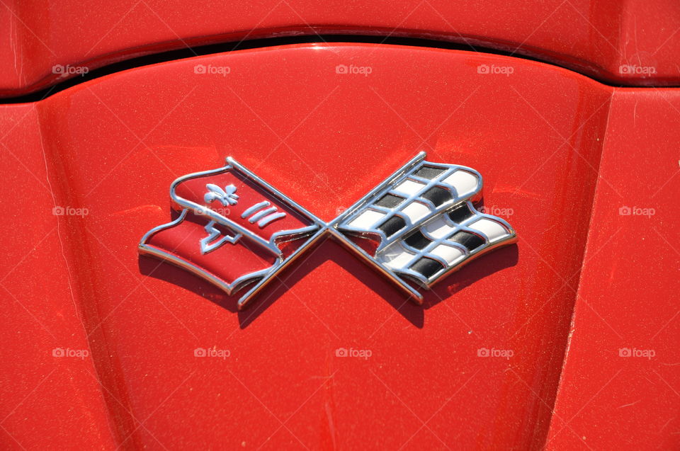 Hood decoration on a corvette stingray.