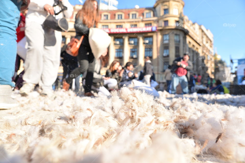 pillow fight