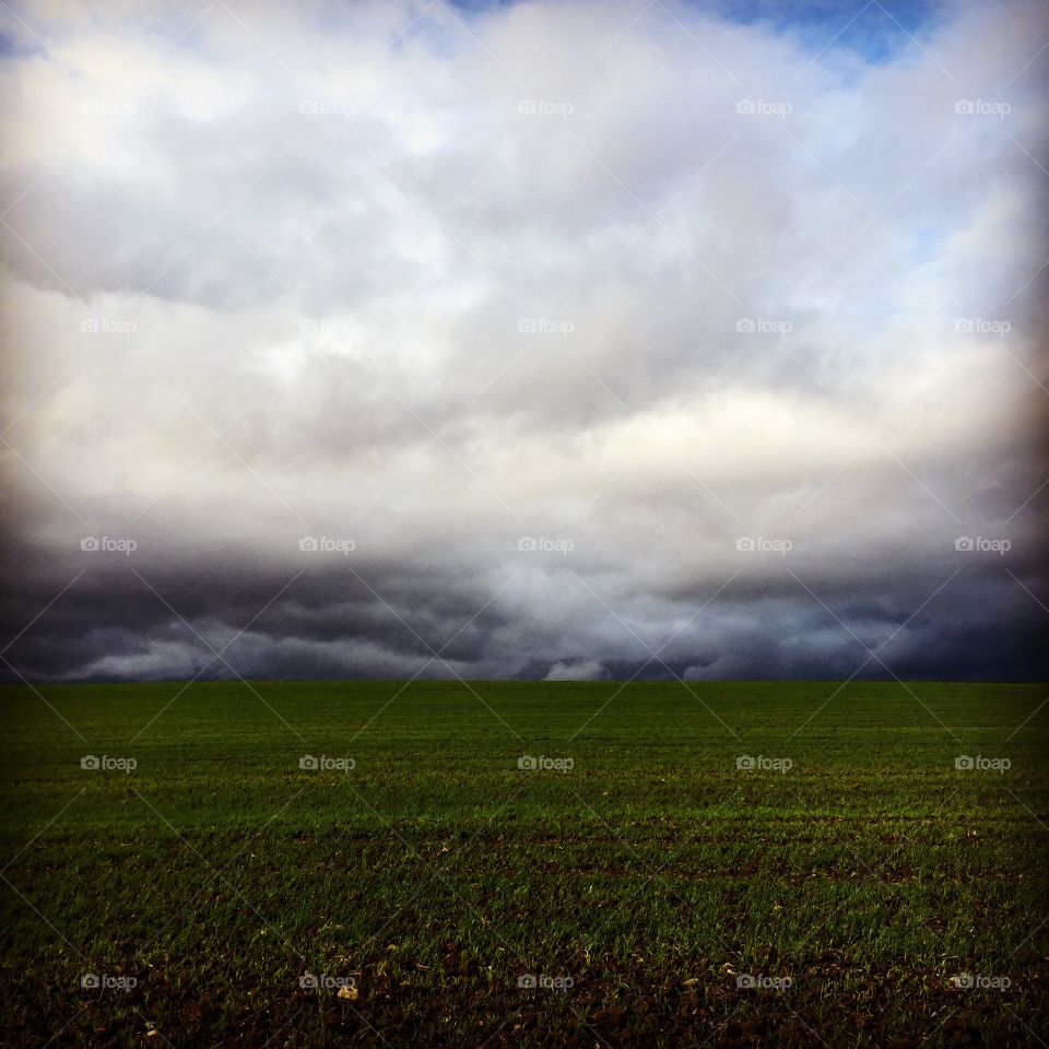 Cloudy field
