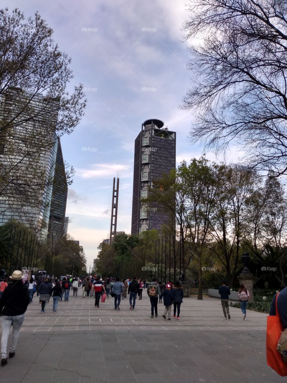 los edificios de la ciudad.