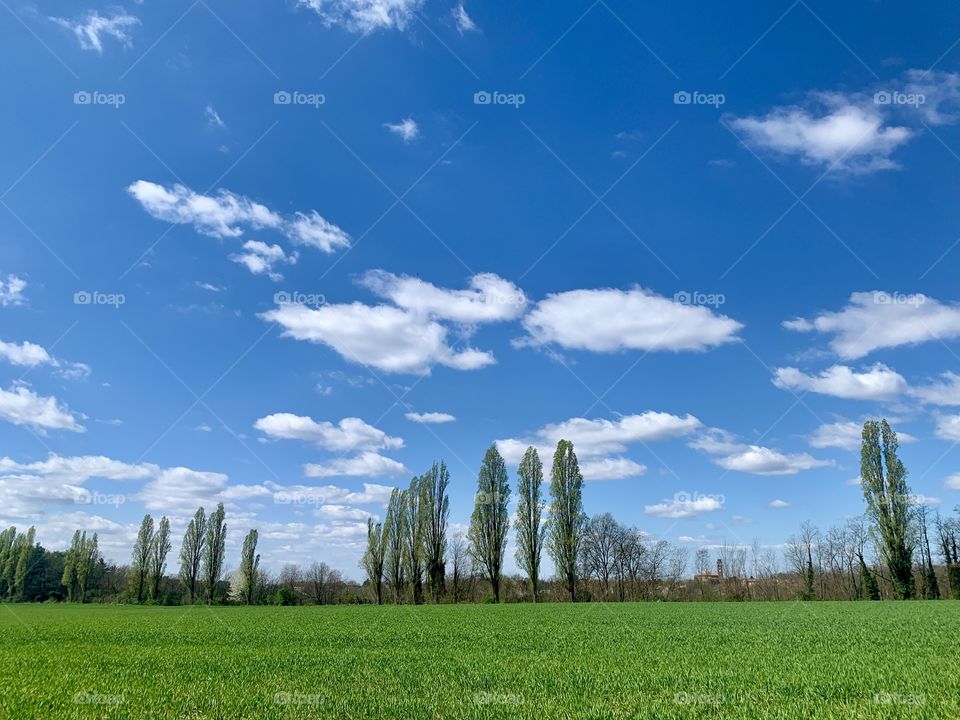  typical landscape of the Lombard countryside