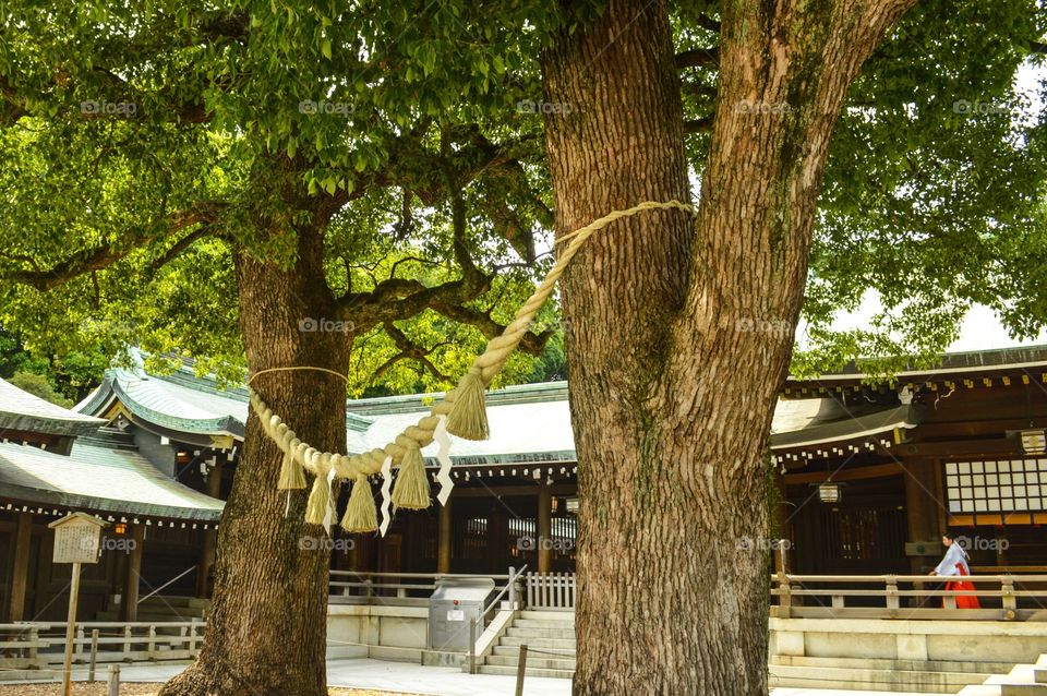 Meiji shrine