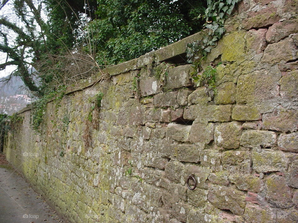 wall to the river main