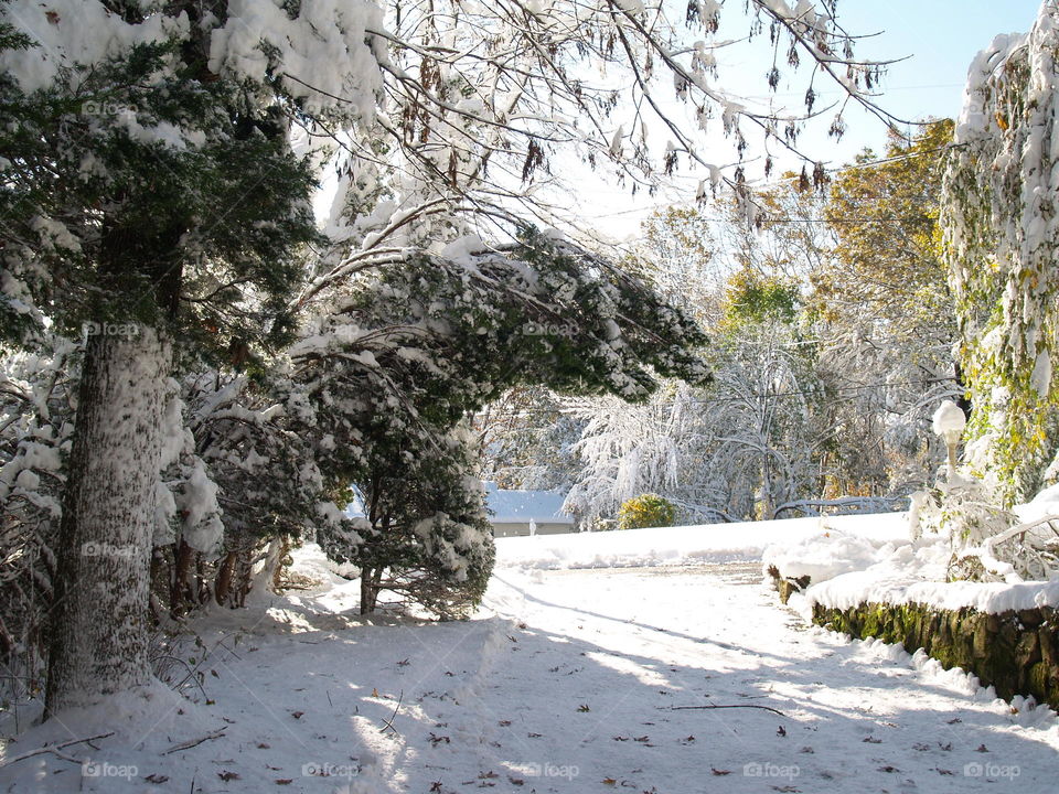 Heavy snowfall 