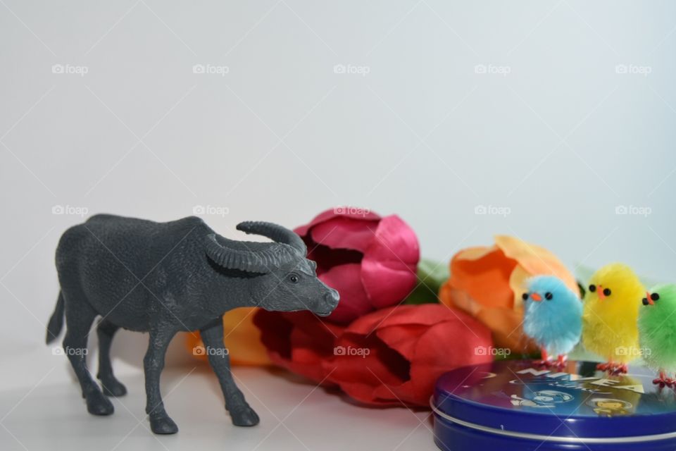 No Person, Toy, One, Two, Cute