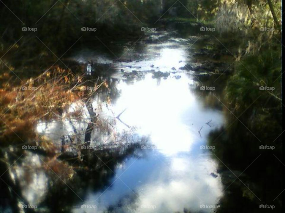 Peaceful River. A picture of the Hillsborough River from Hillsborough River State Park.