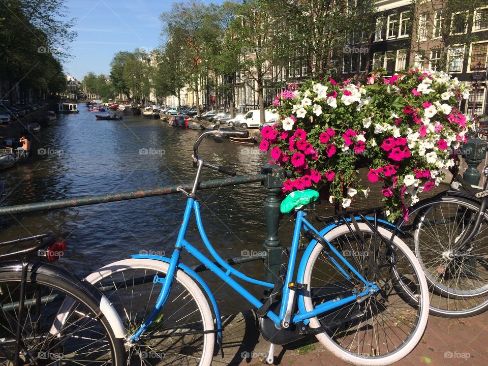 Travel by blue bike Amsterdam