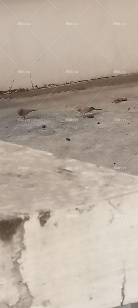 natural things are going to the next day and I'm still waiting for you