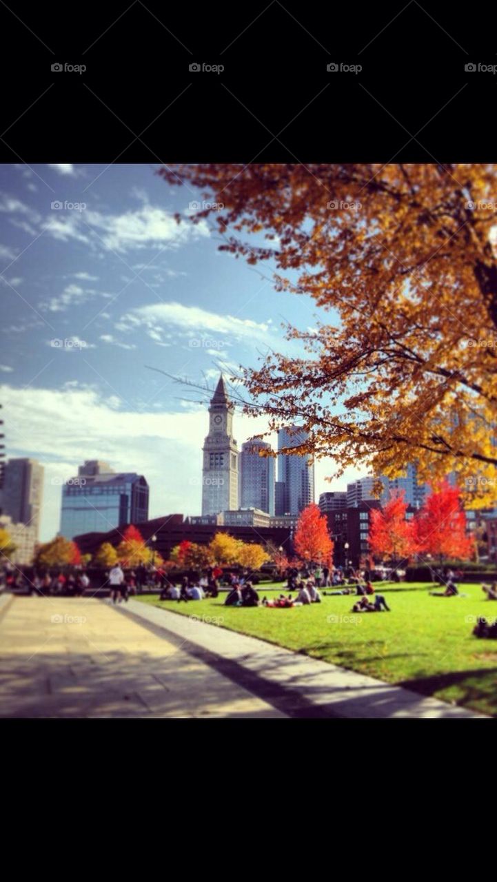 Boston in the Fall