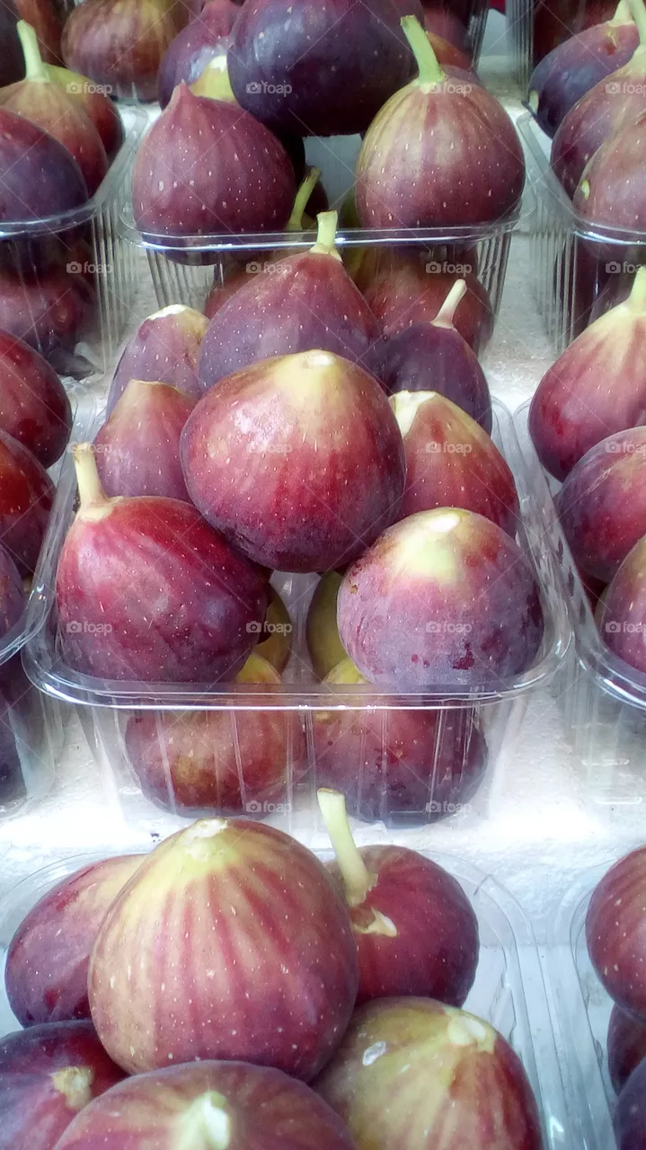 Fruit