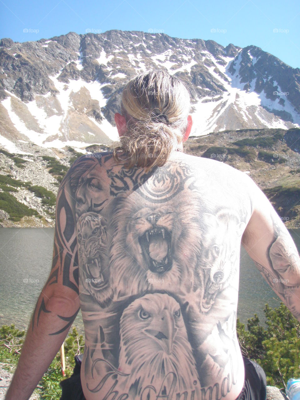 Tattoo and Nature.