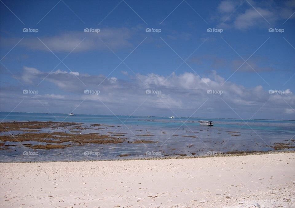 Lady Musgrave Island View