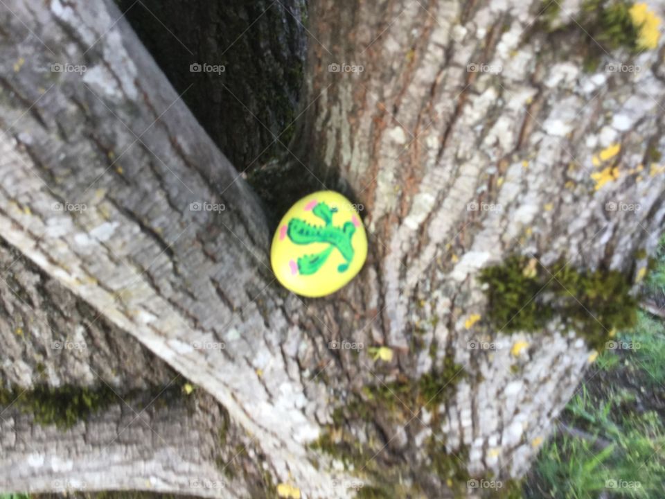 Stone my mom painted with a Cactus that I put in a Park