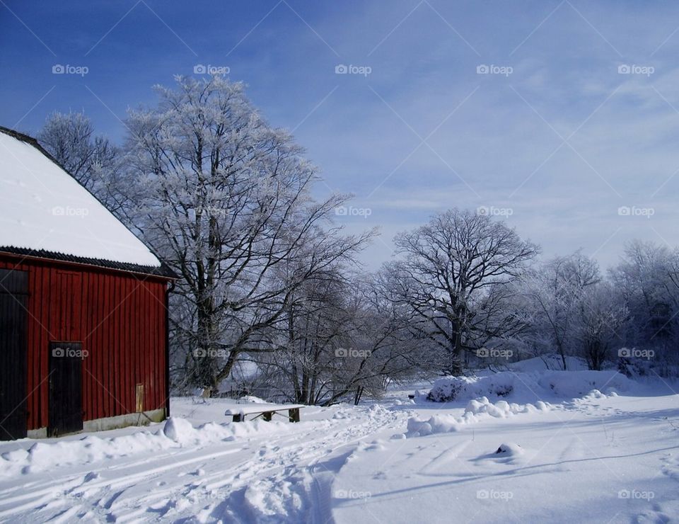 Winter at the countryside.