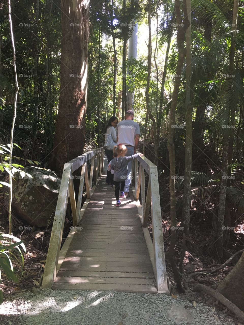 Walking in the rainforest 