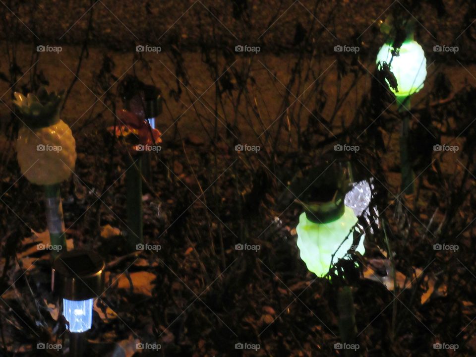 collection of solar lights