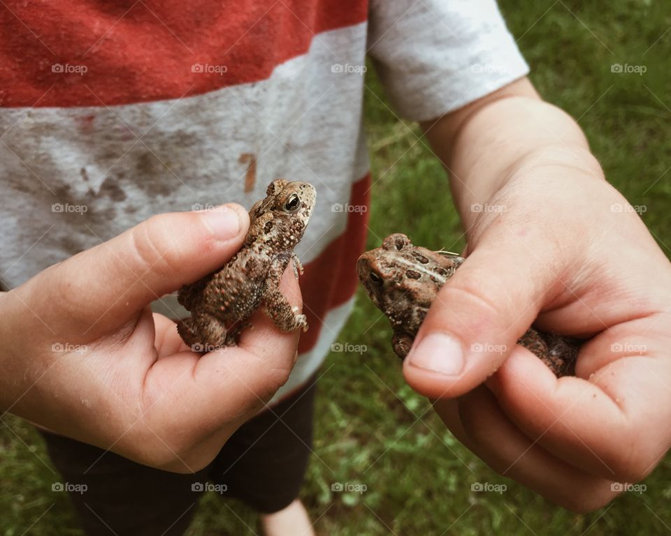 Child holding two toads