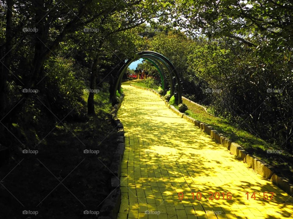 Follow the Yellow Brick Road 