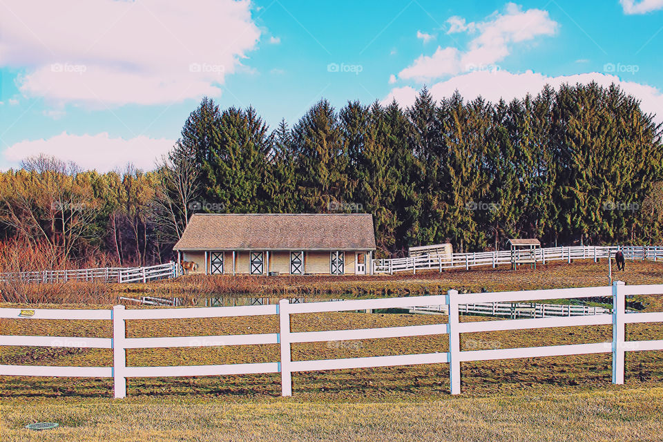 Horse Barn, in Mogadore, Ohio