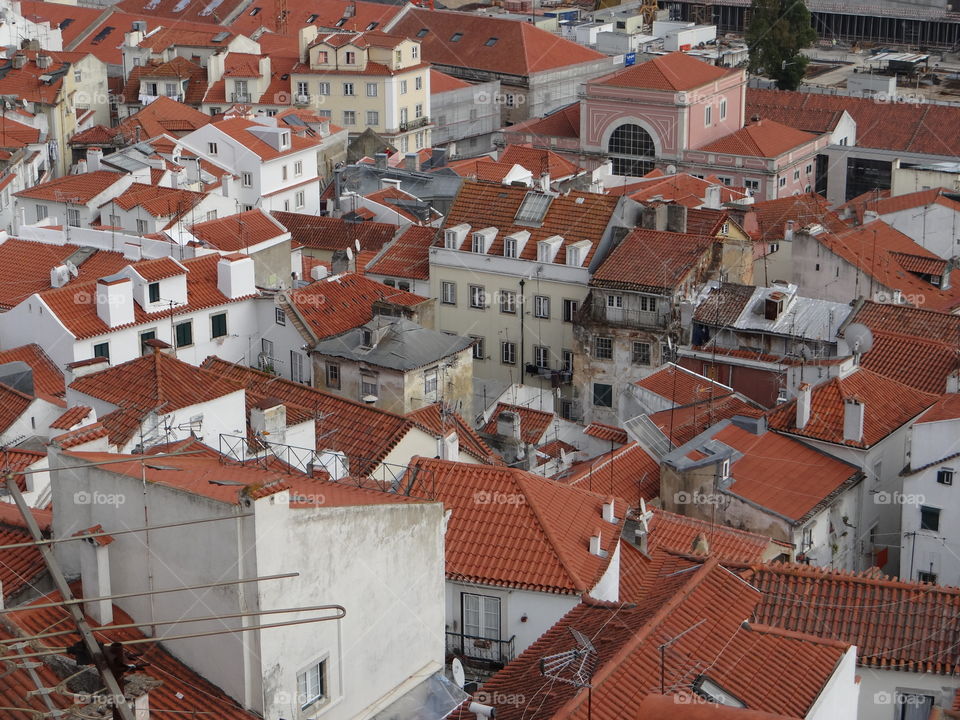 Red Lissabon