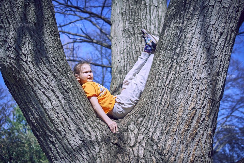 girl on the tree