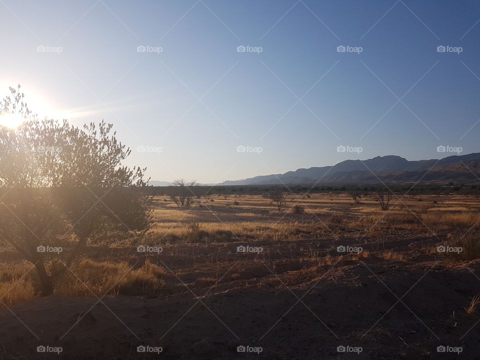landscape in morningsun Tunisia