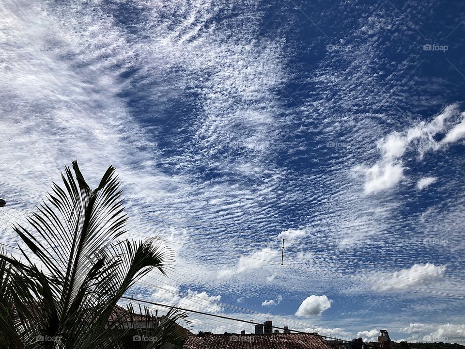 Que dia bucólico, não? Olhe só as nuvens “desmanchadas” pela ação do vento.
Dia de recolhimento, e ao mesmo tempo, de calmaria total!