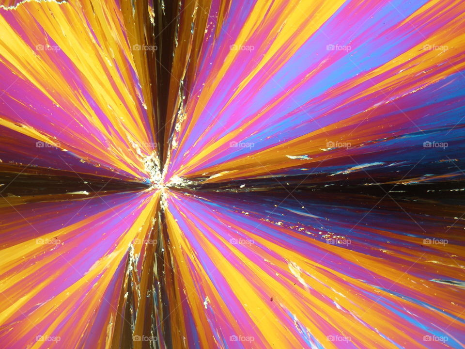 Liquid crystal under polarized light forming flowerlike structure.