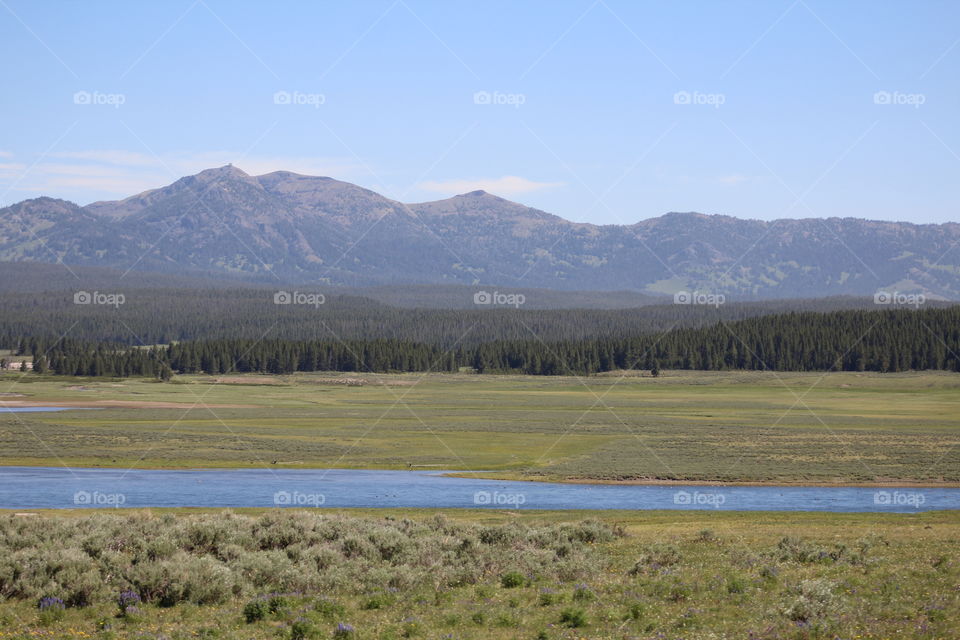 Prairie field mountain water river trees forest woods scenic landscape outdoors wilderness