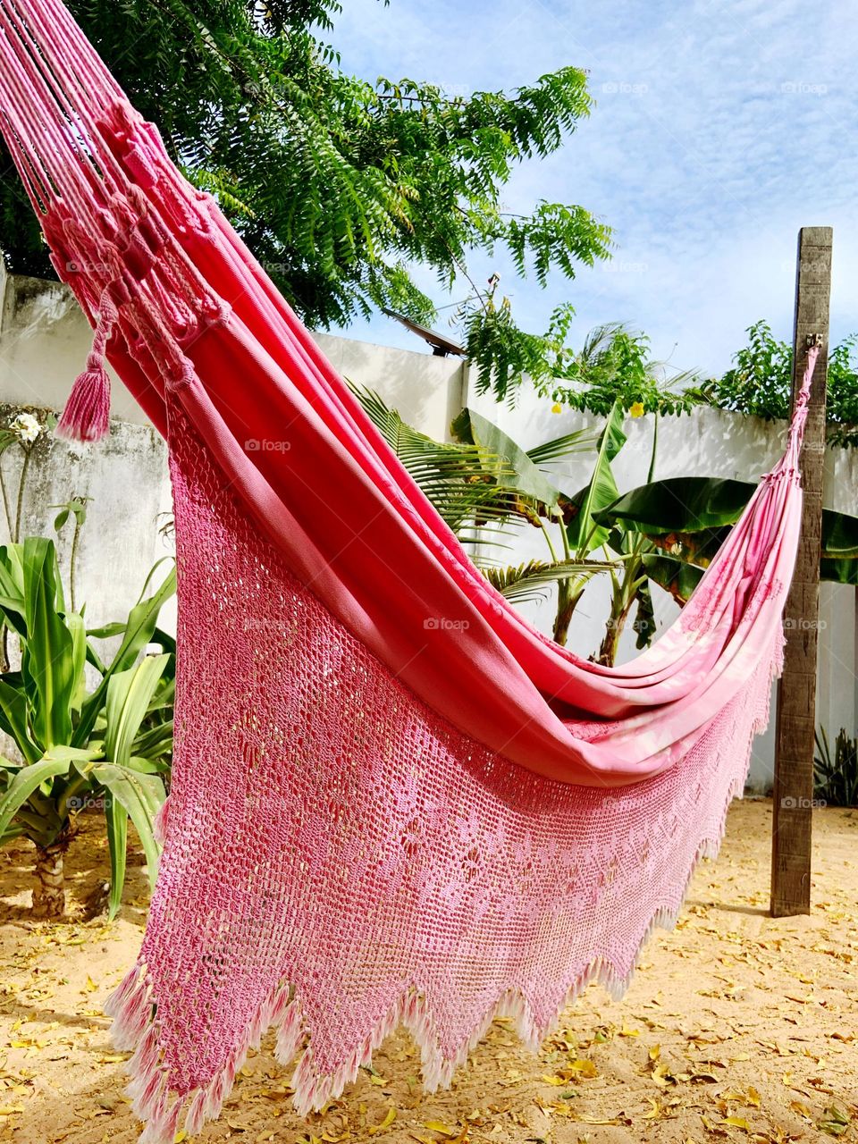 Pink hammock 