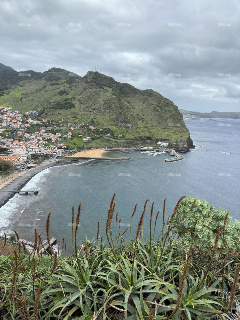 Looking down on the ocean and green cliffs surrounding the small island town of Machico